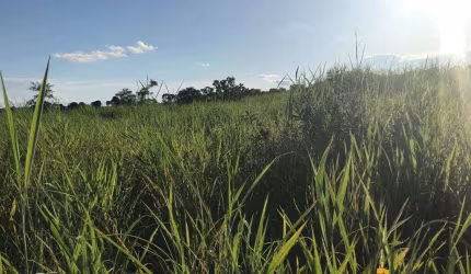 Fazenda à venda, AREA RURAL DE MINAÇU - GO - Minaçu/GO