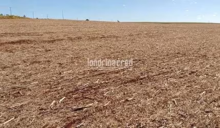Chácara à venda 3000M², Centro, Cornélio Procópio - PR
