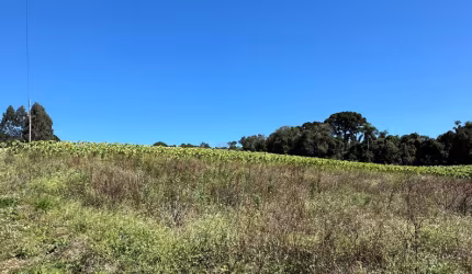 CHACARÁ NO CAMINHO DO VINHO