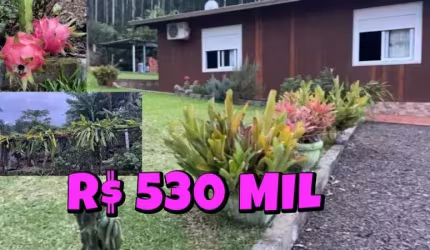 [114900] CHÁCARA DA PITAYA EM OSÓRIO COM CASA 3 QUARTOS FIBRA ÓTICA POMAR PISCINA  PITAYAS
