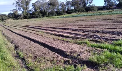 Terreno à venda Lageado Porto Alegre/RS