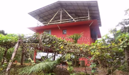 Chácara / sítio com 2 quartos à venda no Centro, Tijucas do Sul  por R$ 1.000.000