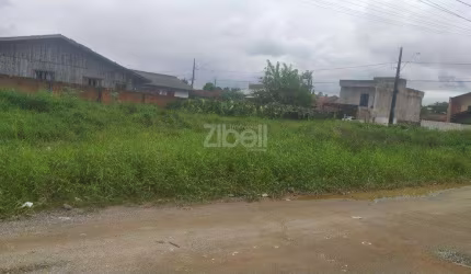 TERRENO no PARANAGUAMIRIM com 0 quartos para VENDA, 502 m²