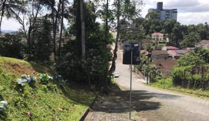 TERRENO no FLORESTA com 0 quartos para VENDA, 371 m²