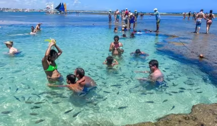Max Plural Trás Seu Mais Breve Lançamento Praia de Porto de Galinhas! Com Alta Rentabilidade Faça Seu Cadastro