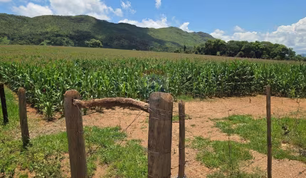 [À VENDA] Sitio com 45 hectares na Serra da Canastra - Delfinópolis MG