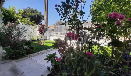 Vista Verde - Recomendamos conhecer!