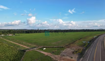 Fazenda à venda, 2011 Alqueires Paulista por R$ 90.000.000 - Nova Altamira - Altamira/PA