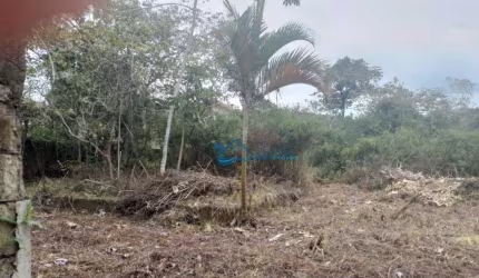 Terreno à venda, 705 m² por R$ 800.000,00 - Jardim  São Lourenço - Bertioga/SP