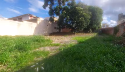 Terreno para Venda em Guarapuava, Centro