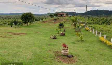 Fazenda para Venda em Cumaru do Norte, 000