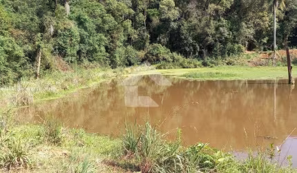 Área Rural para Venda em Balsa Nova, Balsa Nova