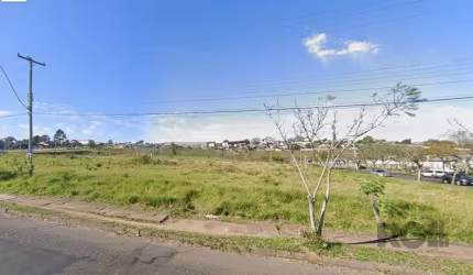 Espetacular terreno plano, com terra firme, situado ao nível da calçada e da rua, próprio para qualquer tipo de construção, residencial, comercial ou mista: Digo isso devido a condomínios próximos, se