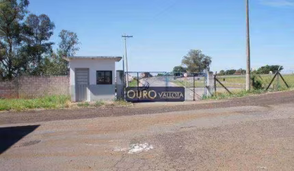 Terreno industrial com 174.036m² - TE 221110V