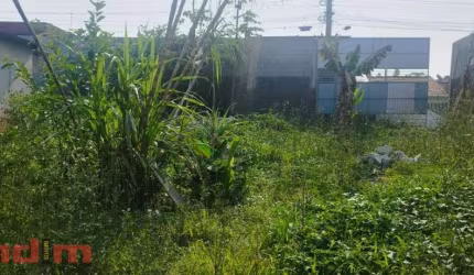 Terreno para alugar em Jardim Aladim de 550.00m²