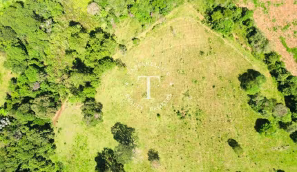 Fazenda / Sítio para venda em Sítio Fazenda Primavera de 20000.00m² com 1 Quarto