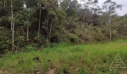 Terreno para venda em Posse de 20084.00m²