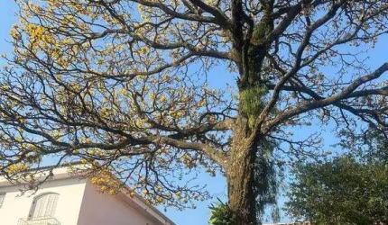 Casa de Condomínio para venda em Condomínio Porta Do Paraíso 1 de 298.00m² com 4 Quartos, 2 Suites e 4 Garagens