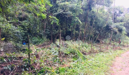 Terreno à venda, 15628 m² por R$ 250.000,00 - Itaipava - Petrópolis/RJ