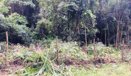 Terreno à venda, 15950 m² por R$ 250.000,00 - Itaipava - Petrópolis/RJ