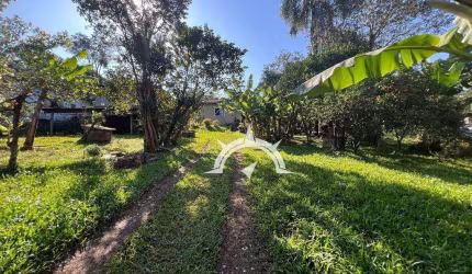 Chácara com 3 dormitórios à venda, 2000 m² por R$ 950.000,00 - Loteamento Rural Palermo - Gravataí/RS