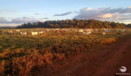 FAZENDA IMPERDÍVEL À VENDA (PORTEIRA FECHADA) ÓTIMA OPORTUNIDADE DE NEGÓCIO!