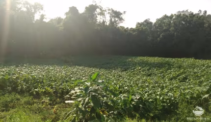 FAZENDA COM MATA NATIVA EM SANTA CRUZ DO SUL/RS