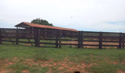 FAZENDA EXCELENTE LOCALIZAÇÃO EM CAMAPUÃ/MS