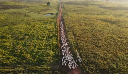 FAZENDA IMPERDÍVEL EM ITAITUBA/PA