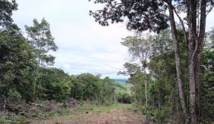 Lote à venda no CAPÃO, CAETÉ-AÇU, Palmeiras, BA