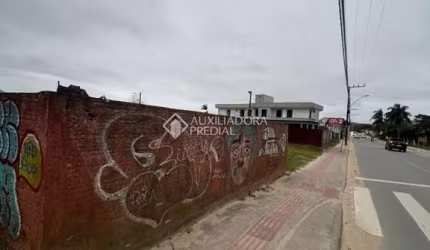 Terreno comercial para alugar na Vereador Laudelino Antônio Teixeira, 223, Campo Duna, Garopaba, 700 m2 por R$ 10.000
