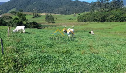 Sítio à venda no bairro Aratingauba - Imaruí/SC