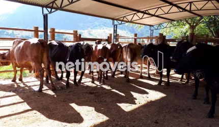 Venda Fazenda Zona Rural Mutum