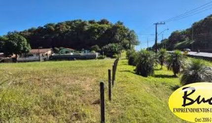 Alugo terreno comercial BR101 Joinville - Buch Imoveis