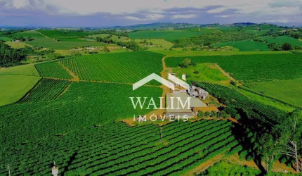 Fazenda de Café e Cereais - 120 Hectares em Alfenas/MG, Totalmente Mecanizada e com Alta Produtividade!