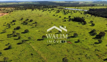 FAZENDA À VENDA | 527 Hectares |PAINEIRAS/MG