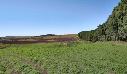 Sítio à venda, 600000 m² por R$ 5.300.000,00 - Lajeado Grande - São Francisco de Paula/RS
