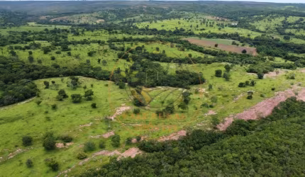 FAZENDA COM 678 HECTARES NO NOROESTE DE MINAS GERAIS COM DUPLA APTIDÃO   FA00051