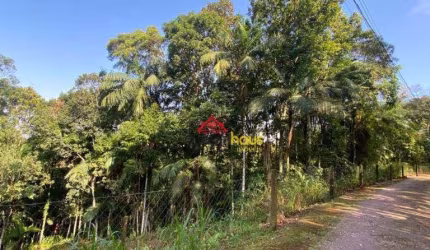 Terreno à venda, 5145 m² por R$ 260.000,00 - Itoupava Central - Blumenau/SC