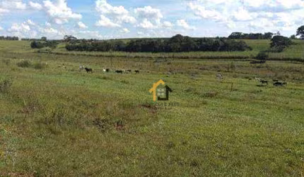Sítio à venda, 545952 m² por R$ 5.188.800,00 - Zona Rural - Álvares Florence/SP
