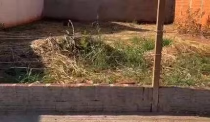 Terreno à venda, 200 m² por R$ 100.000 - Caetano II - São José do Rio Preto/SP