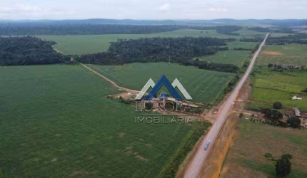 Fazenda com 5 dormitórios à venda, 35700000 m² por R$ 65.000.000,00 - Comércio - Itaituba/PA