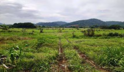 Sítio para Venda em Cachoeiras de Macacu, Cachoeira da Quizanga, 2 dormitórios, 1 banheiro, 1 vaga