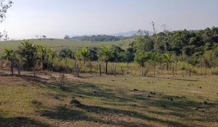 Sítio para Venda em Silva Jardim, Mato Alto, 1 dormitório, 1 banheiro