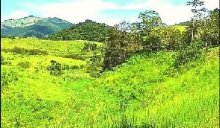 Fazenda para Venda em Rio Bonito, Braçanã, 2 dormitórios, 1 banheiro, 1 vaga