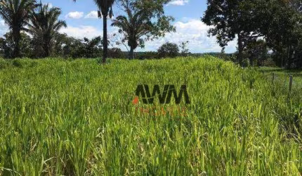Chácara à venda, 12100 Ha por R$ 580.000 - Chácara Na Zona Rural - Itapirapuã/GO