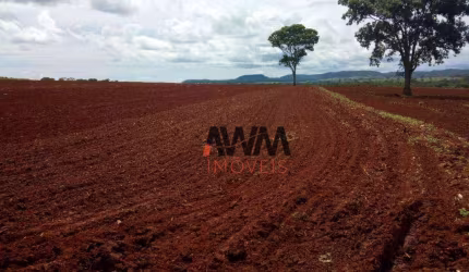 Fazenda à venda, 1380000 m² por R$ 10.000.000,00 - Zona Rural - Itapuranga/GO