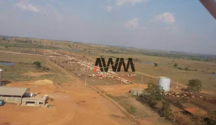 Fazenda à venda, 118096000 m² por R$ 400.000.000,00 - Santos Dumont - Redenção/PA