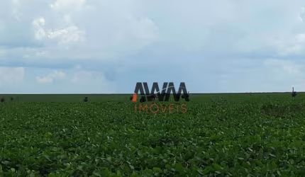 Fazenda à venda, 11520000 m² por R$ 65.000.000,00 - Anhangüera - Goiânia/GO