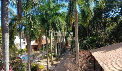 Casa para alugar, 4 quartos, Mansões Aeroporto - Uberlândia/MG - Rotina Imobiliária